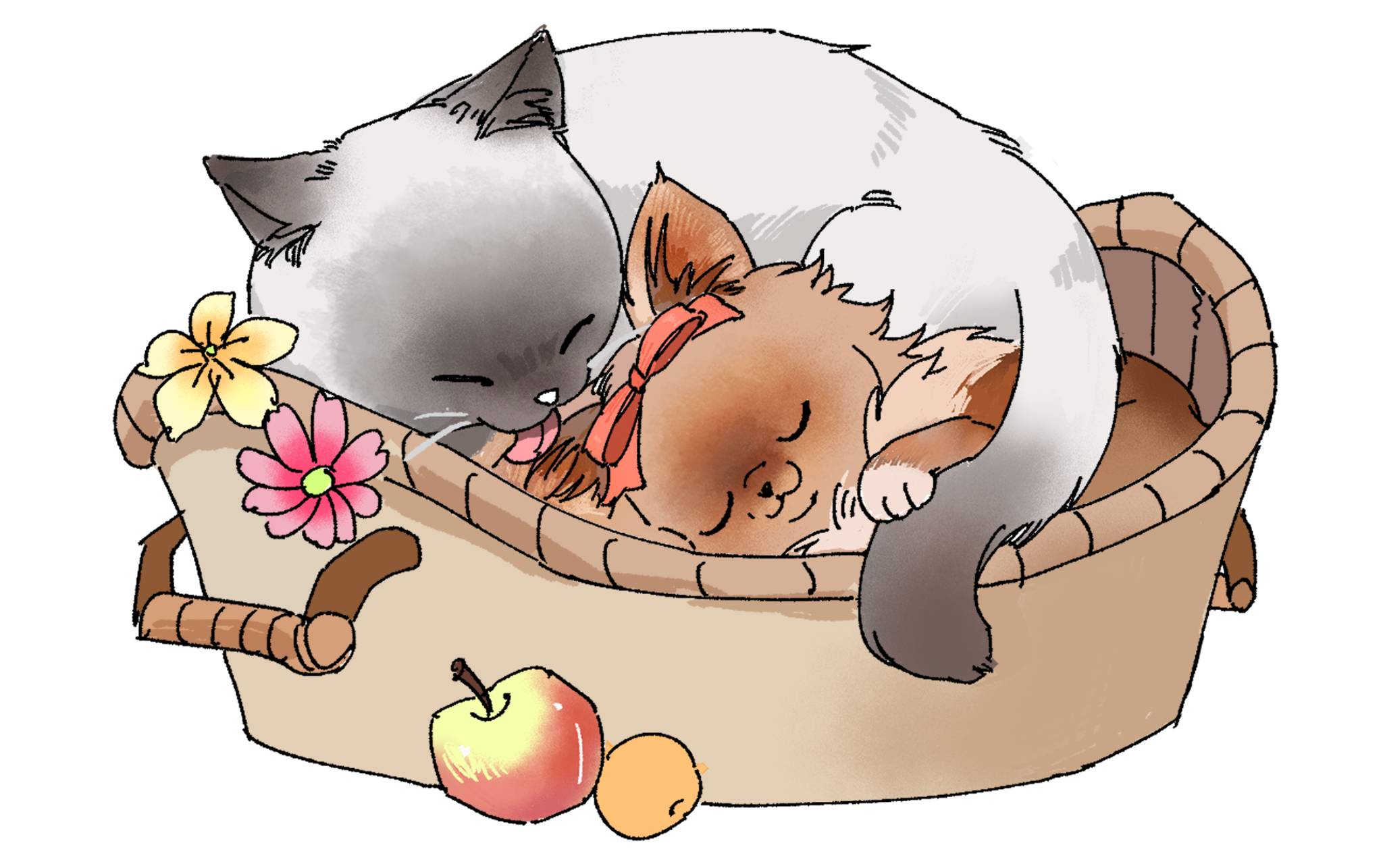 Cookie et Appelpie endormis dans un panier